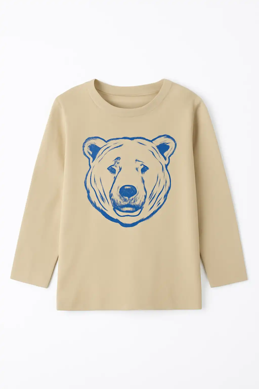 PRiTOMTEX - Stylish Boys’ Long Sleeve T-shirt with Print – Bulk Sourcing Available Stylish Boys’ Long Sleeve T-shirt with Print – Bulk Sourcing Available